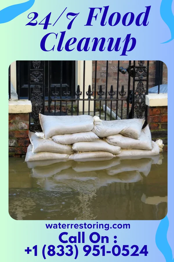 24/7 Flood Cleanup in Wyoming, MN